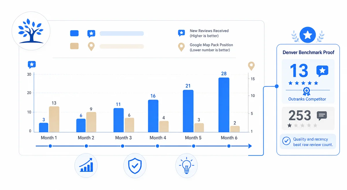 Timeline showing tree service review growth before and after an SEO campaign with key milestones marked along the progression.